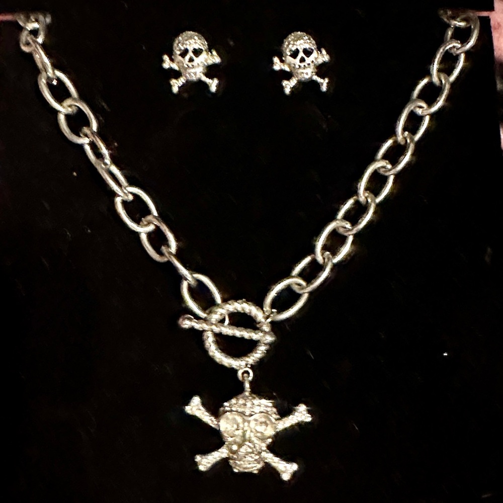 Silver Tone Large Link Skull Necklace and Earring Set